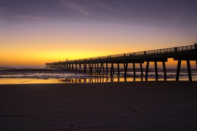 Free Beach Pier photo and picture