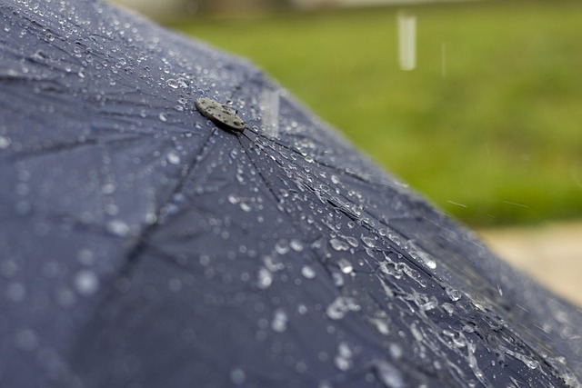 Paraply, Regn, Vand, Våd, Regndråbe