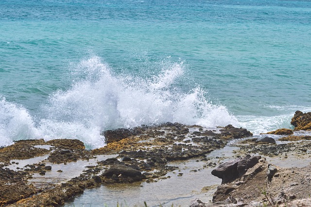 Free Sea Beach photo and picture