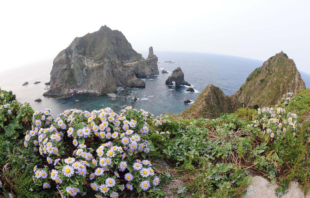 20 + 무료 독도 & 대한민국 이미지 - Pixabay