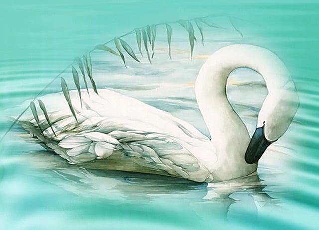 Free swan lake mood illustration
