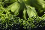 steamed, cooked, organic