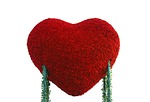 love, ideas, concepts