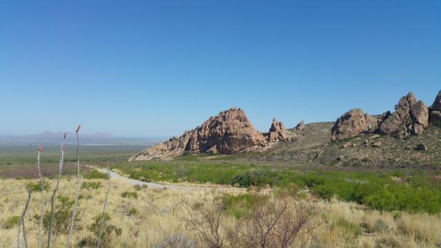 Nuevo Mexico, Montaña, Caminata, Paisaje