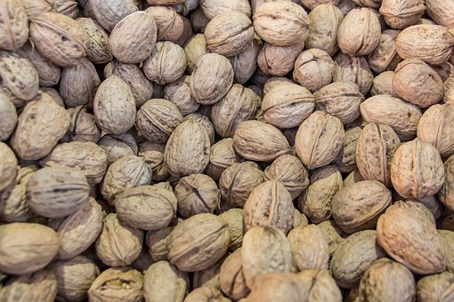Free Nuts Walnuts photo and picture