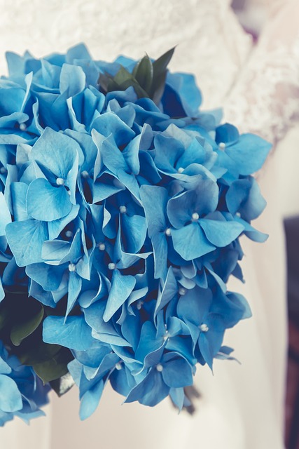 Bruiloft, Bloemen, Bruid, Wit, Boeket