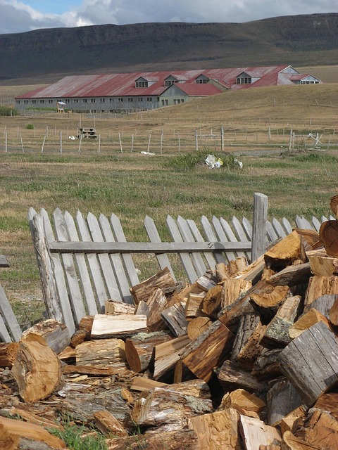 Free Chili Wood photo and picture