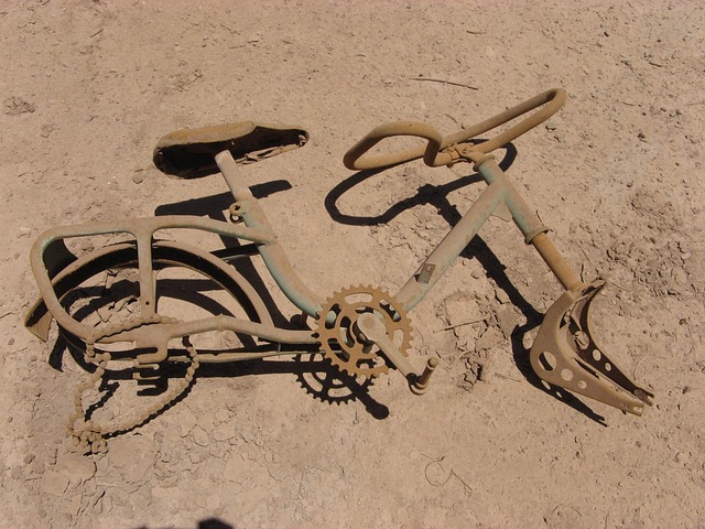 Free Bicycle Chili photo and picture