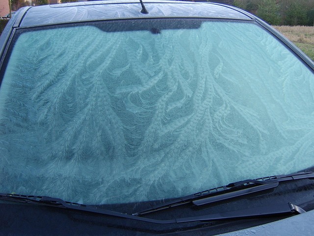 Free Winter Ice Flowers photo and picture