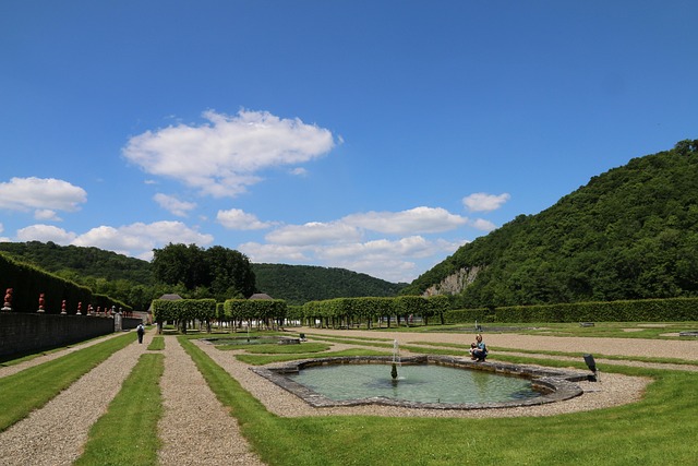 Free Park Summer photo and picture
