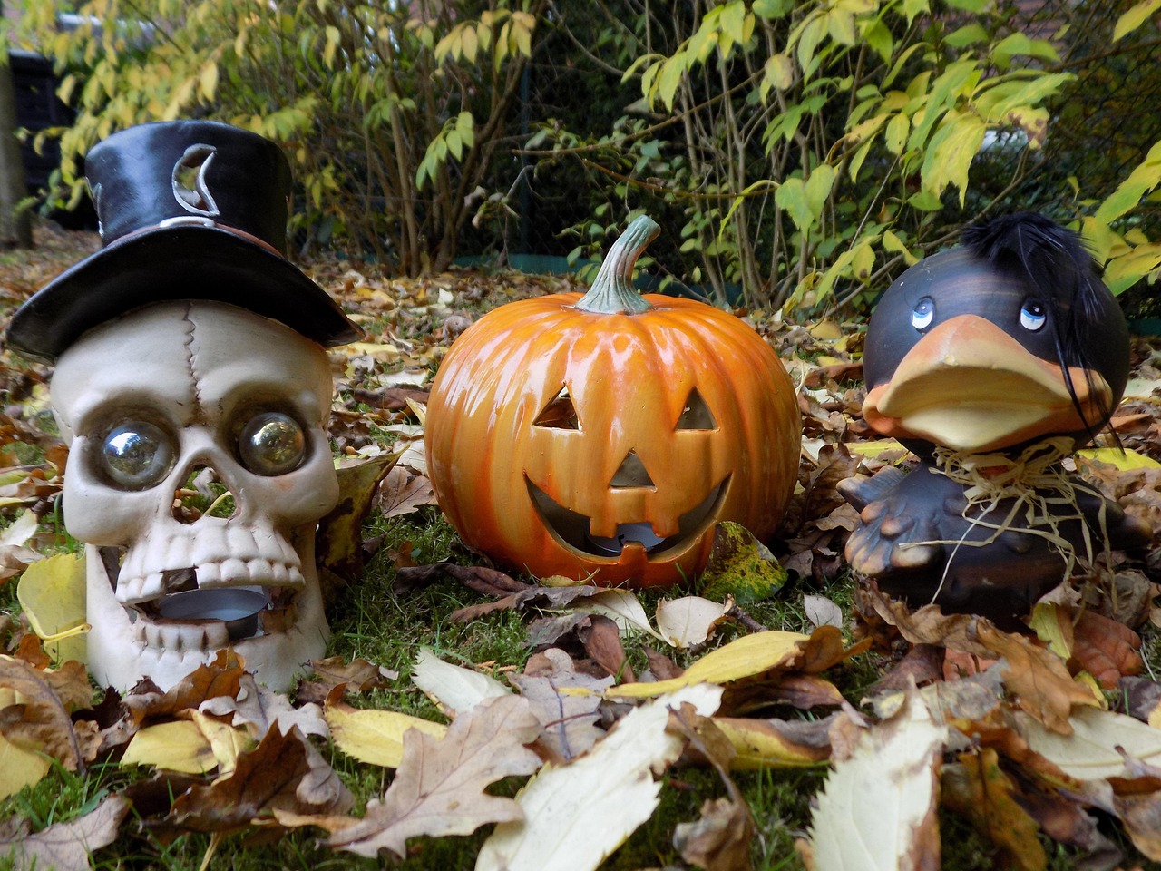 Pumpkin Skull And Crossbones Crow - Free photo on Pixabay - Pixabay