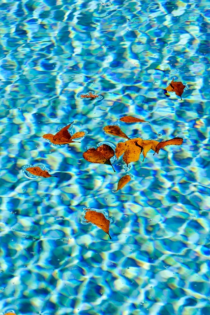 Free Water Pool photo and picture