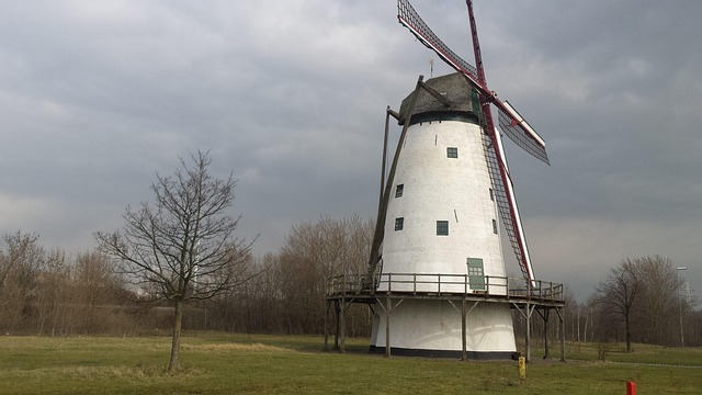 Free Lillo Antwerp photo and picture