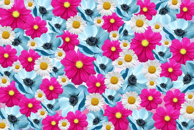 Bloesems, Bloem, Natuur, Roze