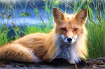 painting, oil painting, photo painting