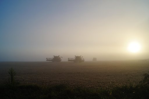Free Rural Harvest photo and picture