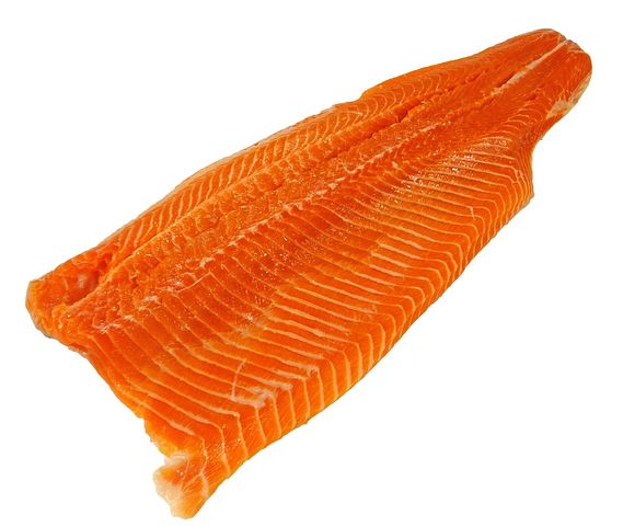 300+ Free Trout &amp; Fish Images - Pixabay