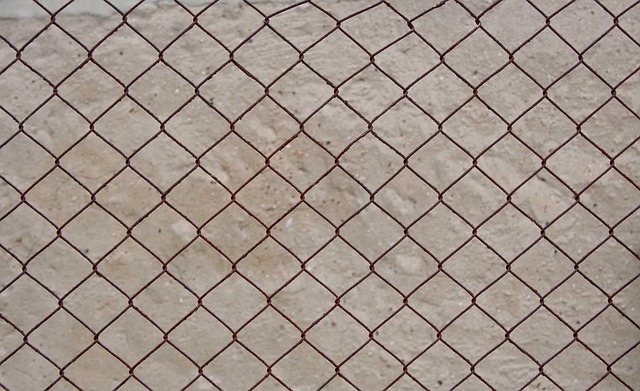 Free Wire Mesh Fence Texture photo and picture