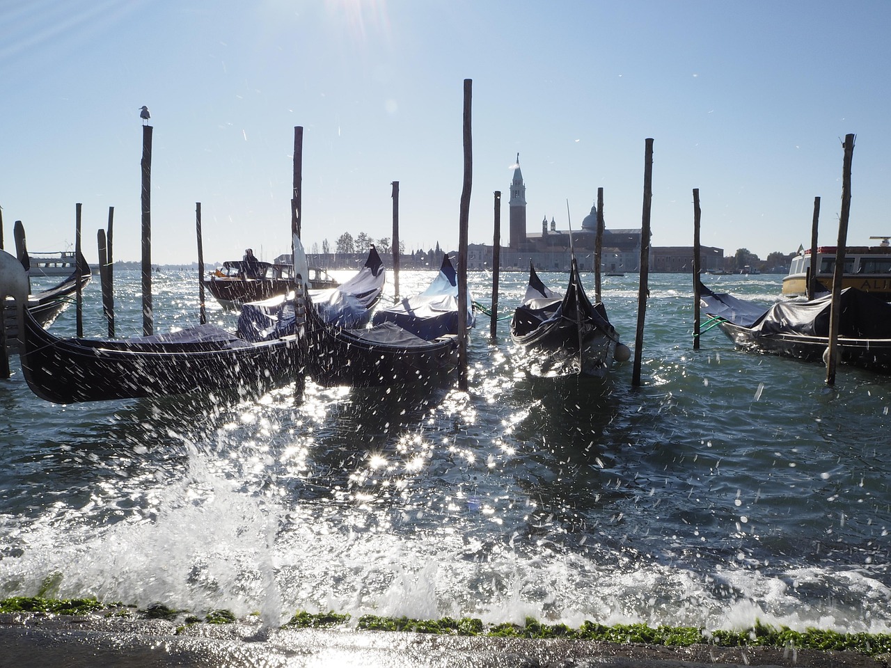 Venice Gondolas Italy - Free photo on Pixabay - Pixabay