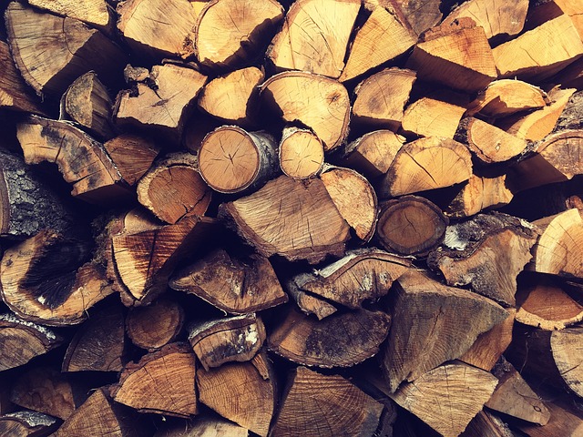 Madera, Naturaleza, Otoño, Temporada