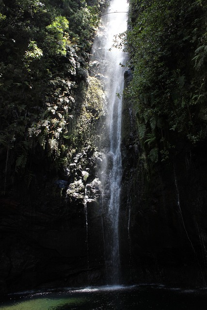 Free Waterfall Hidden photo and picture