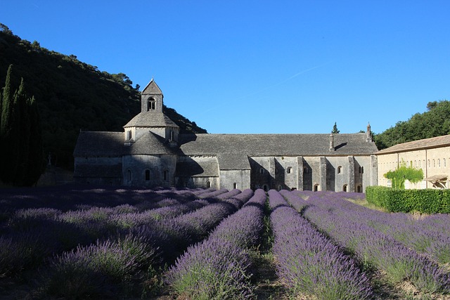 Free France Provence photo and picture