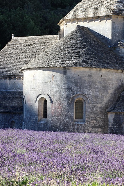 Free France Provence photo and picture