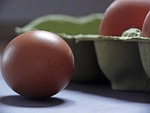 egg, egg carton, chicken eggs