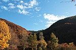landscape, trees, autumn