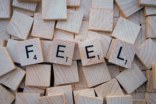 Free Feel Word photo and picture