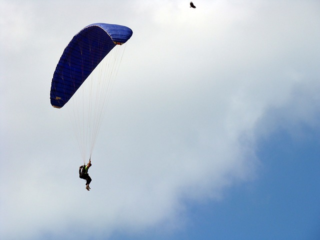 Free Bird Parachuting photo and picture