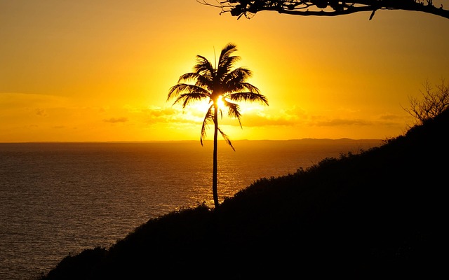 Free Sunshine Sun photo and picture