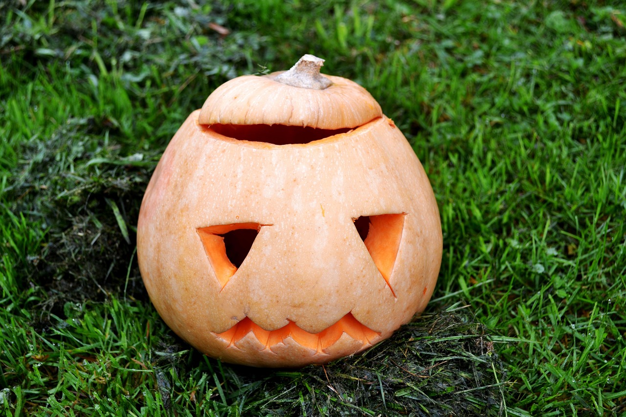 Pumpkin - free online jigsaw puzzle photo