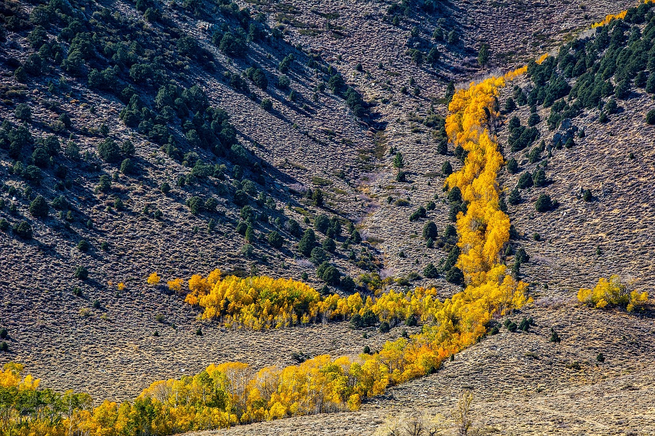 Yosemite - free online jigsaw puzzle photo