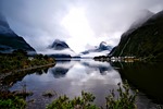 new zealand, landscape, fog