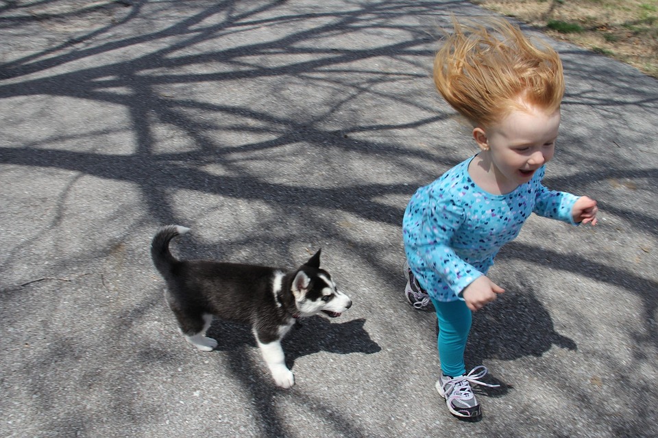 Puppy Child Run - Free photo on Pixabay - Pixabay