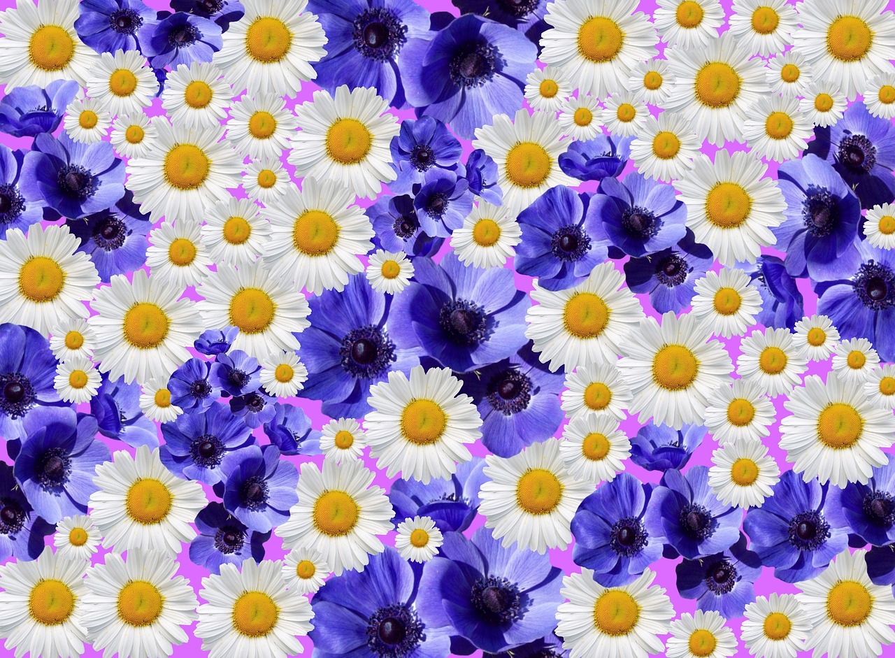 Download free HD stock image of Flower Blossoms Free flower blossoms nature illustration