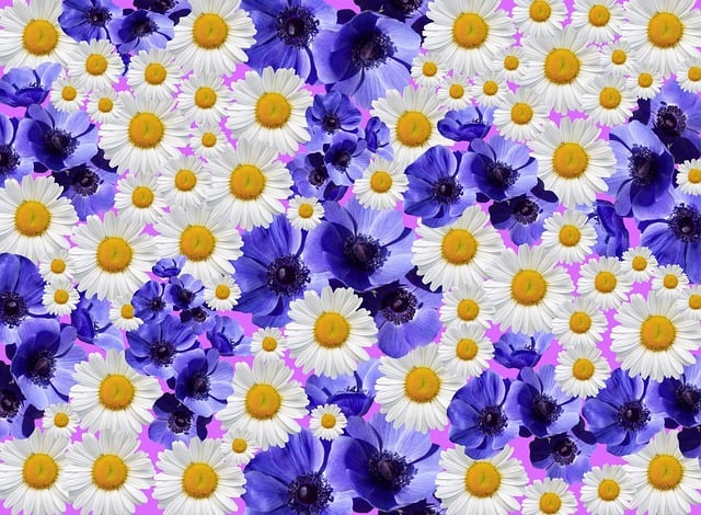 Free flower blossoms nature illustration