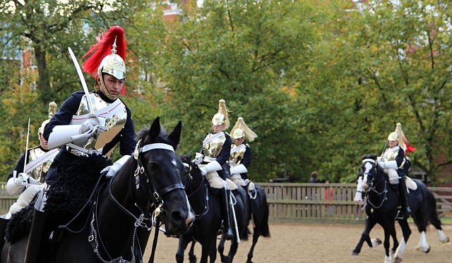 Free Soldier Royal Ride photo and picture