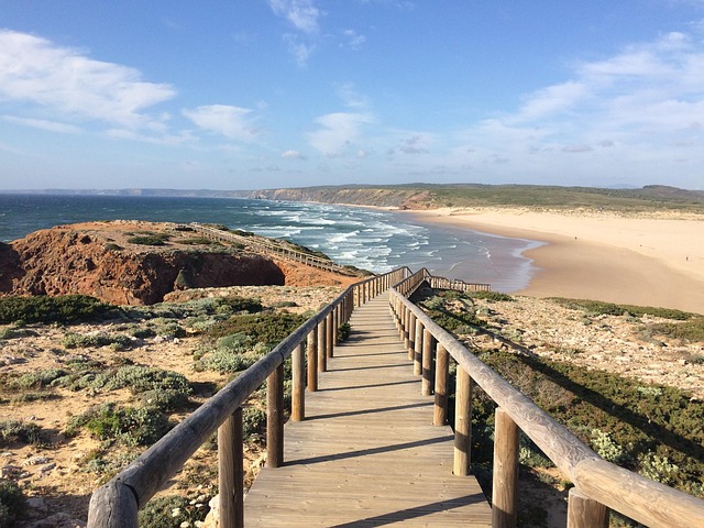 Free Path Trail photo and picture