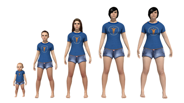 Bebelus, Copil, Tineret, Adult, Vechi
