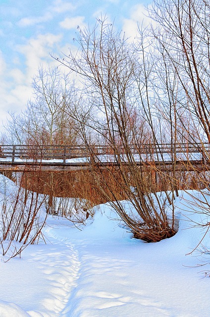 Vinter, Bridge, Flod, Landskab, Sne, Is