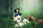goat, farm, adult