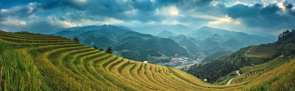 Agricoltura, Asia, Gatto, Cina, Nuvola, Colorato