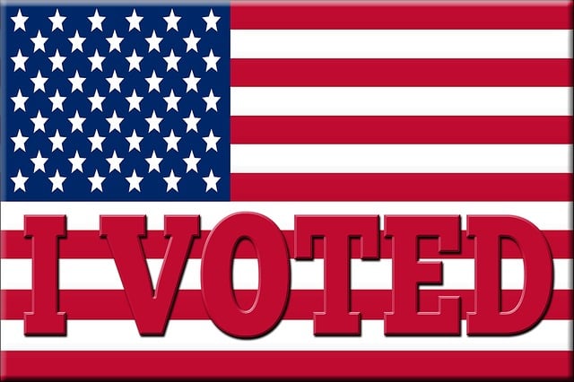 Free flag vote i voted illustration