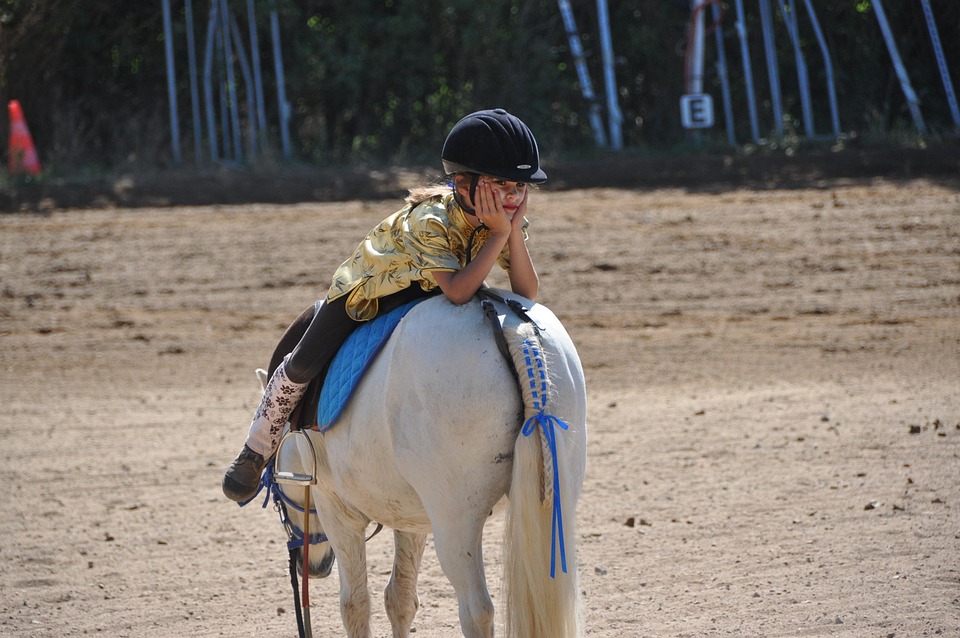 10 Fun Facts about the American Royal, Kansas City