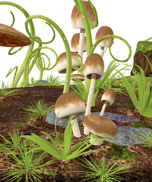 Free mushrooms bright forest illustration