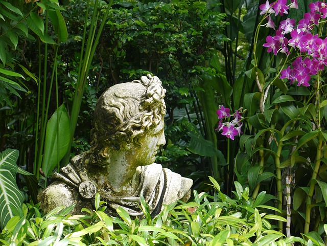 Free Garden Nature photo and picture