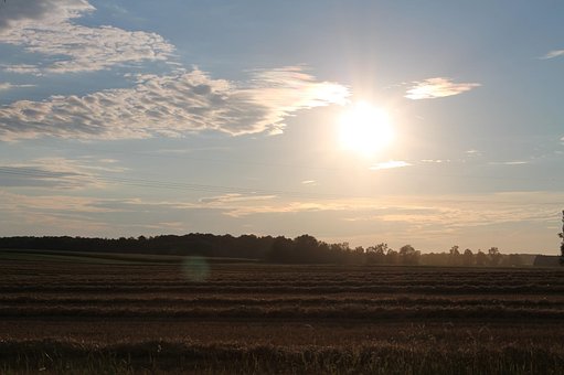 Free Thanksgiving Fall photo and picture