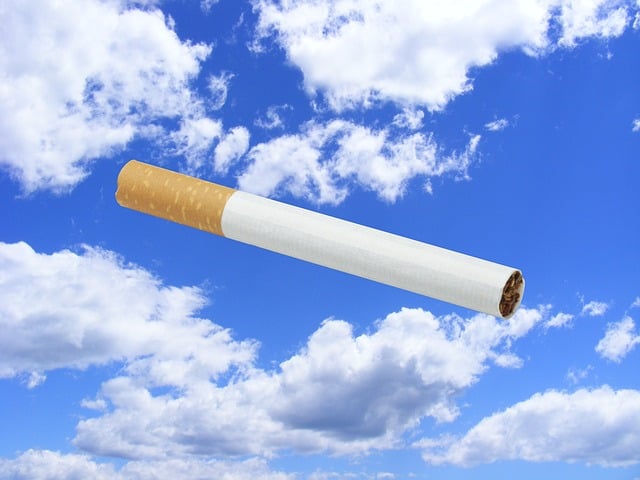 Free quit smoking cigarette smoking illustration